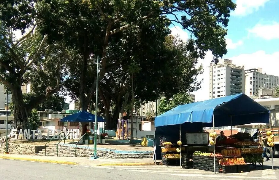 Executive Type Apartment Of 35 Meters Sebucan Ccs Caracas Venezuela