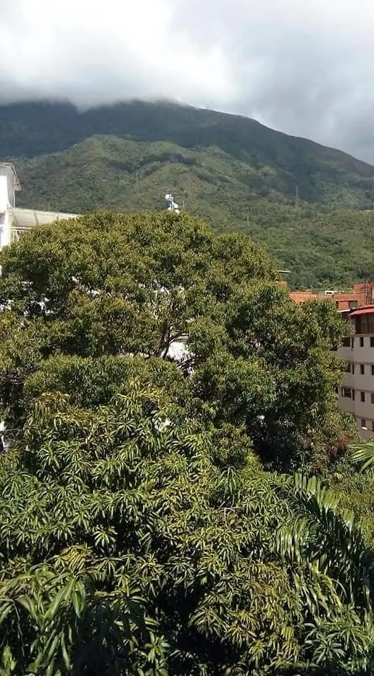 Executive Type Apartment Of 35 Meters Sebucan Ccs Caracas 0*,