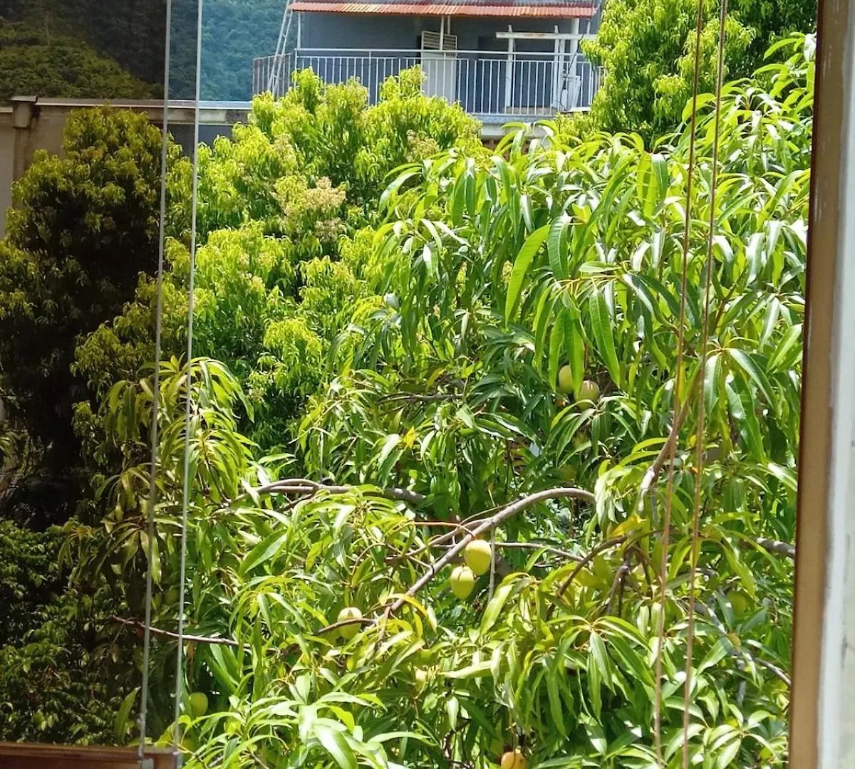 Executive Type Apartment Of 35 Meters Sebucan Ccs Caracas