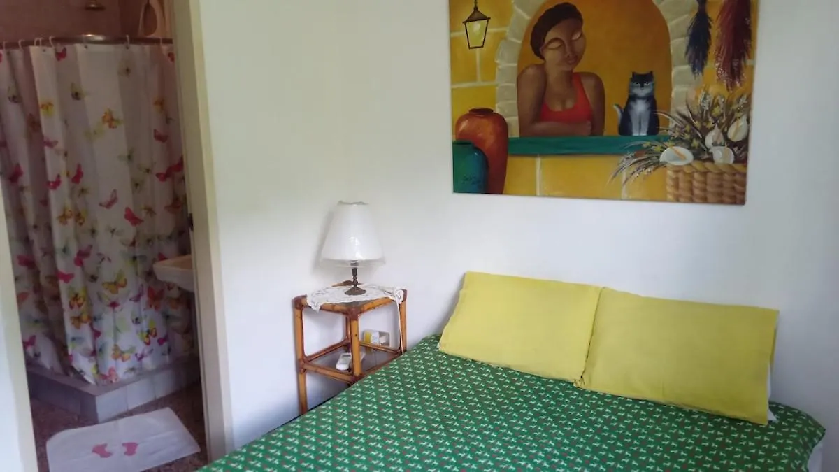Executive Type Apartment Of 35 Meters Sebucan Ccs 卡拉卡斯