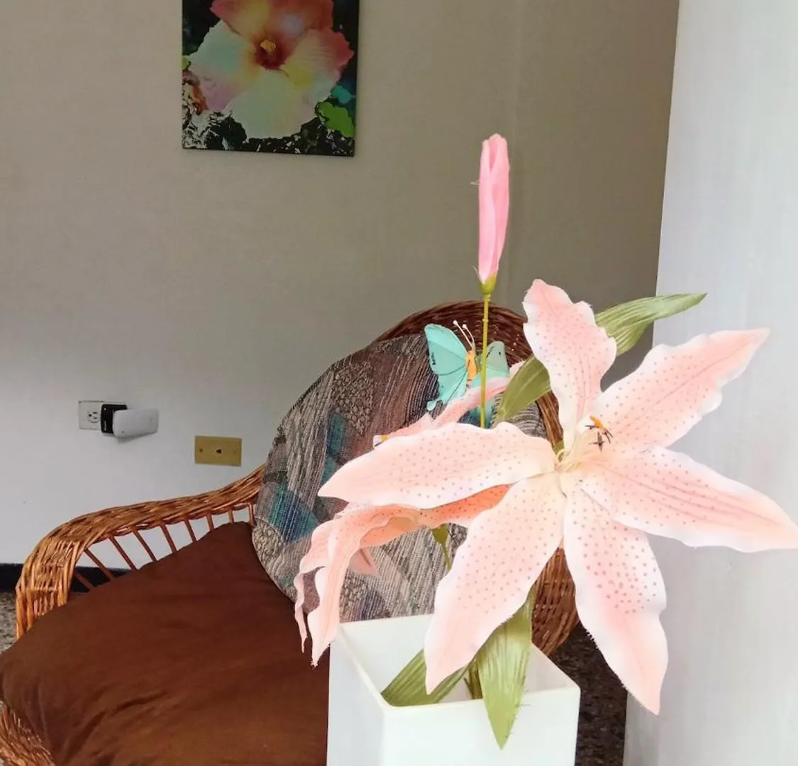 Executive Type Apartment Of 35 Meters Sebucan Ccs 卡拉卡斯