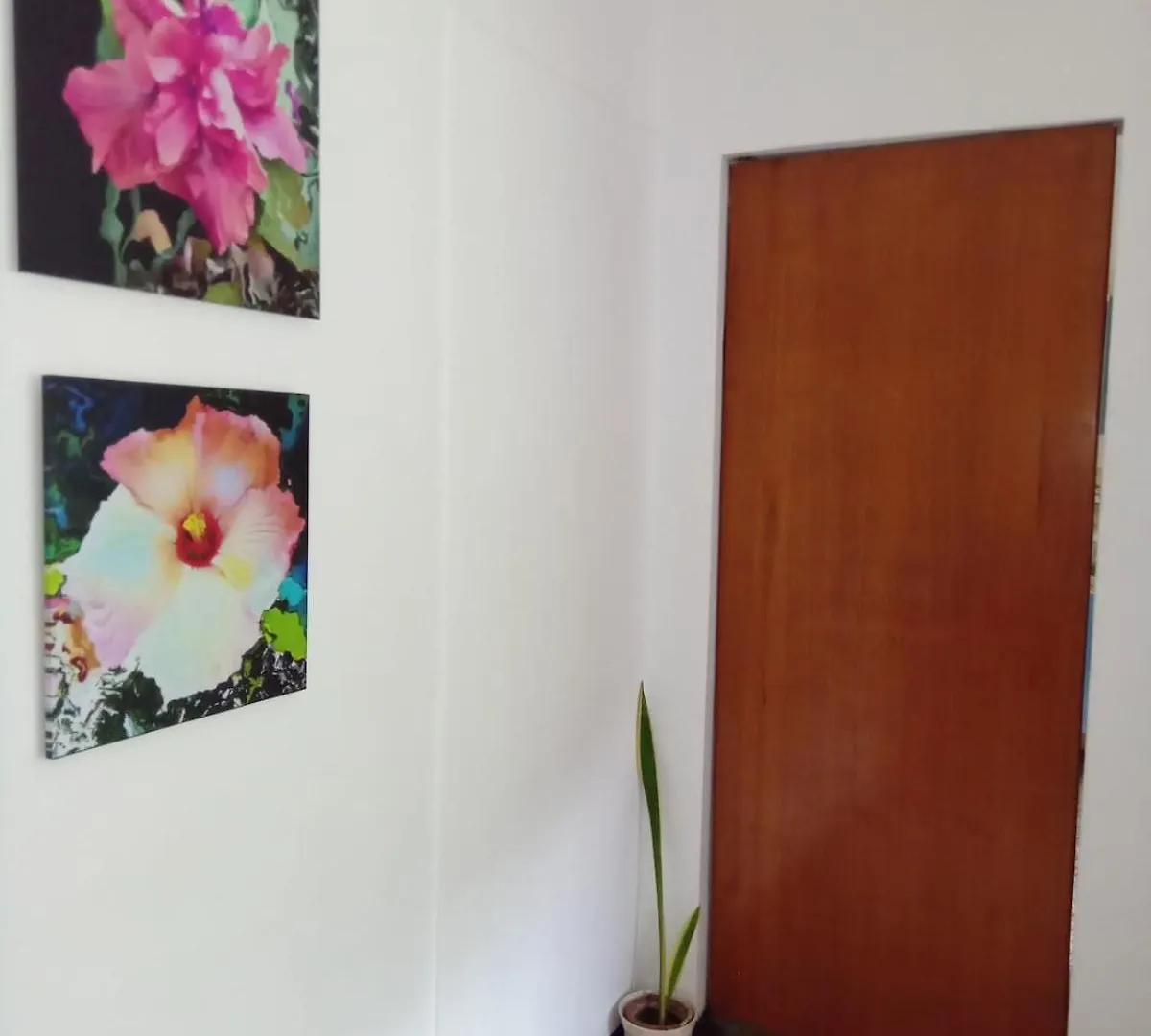 Executive Type Apartment Of 35 Meters Sebucan Ccs 卡拉卡斯