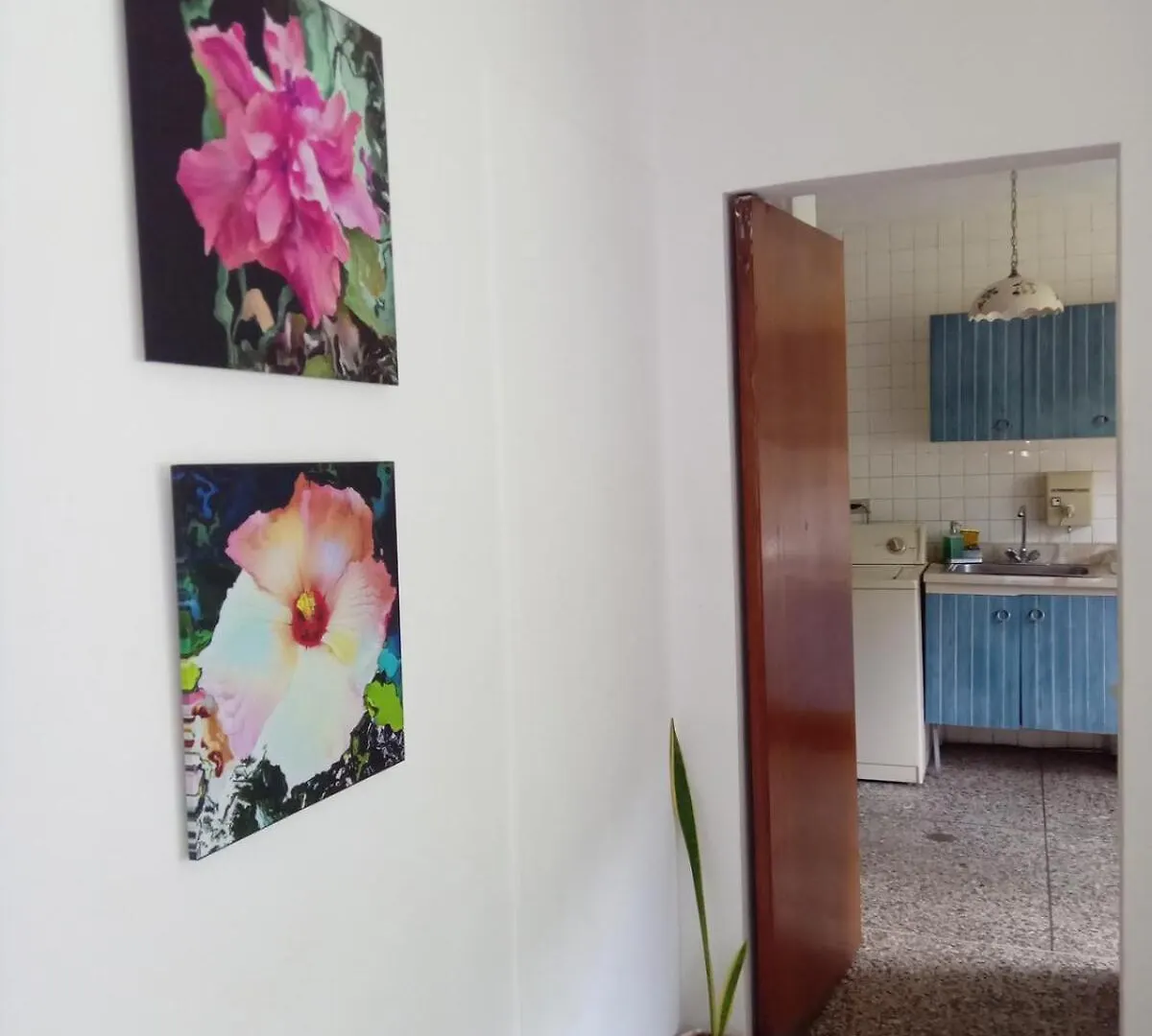 Executive Type Apartment Of 35 Meters Sebucan Ccs 卡拉卡斯